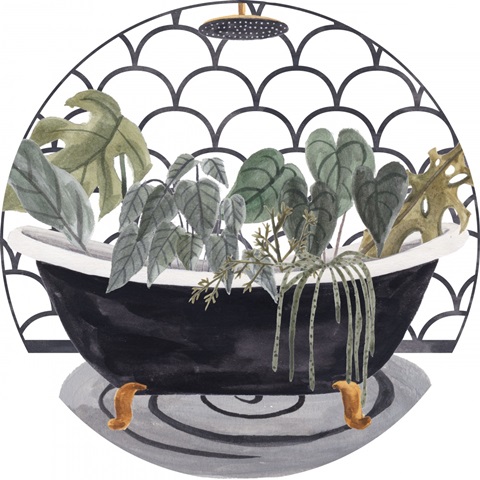 Meeting Myself Collection C