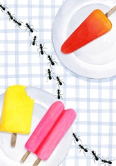 Park Picnic Collection B