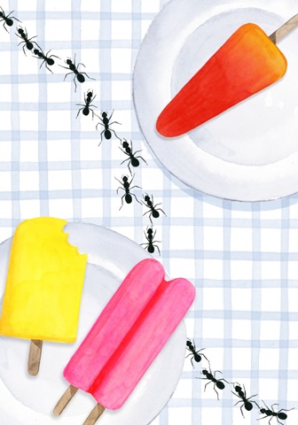 Park Picnic Collection B