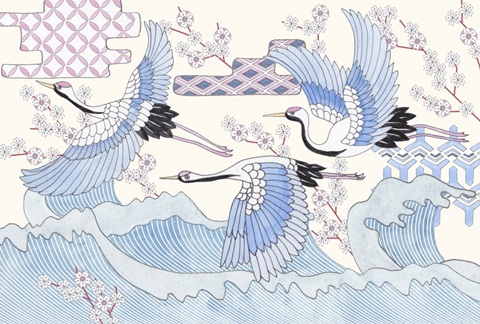 Pass By Collection A