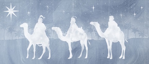 Star of Bethlehem Collection D