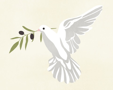 Olive Branch Dove II