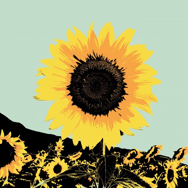 Pop Art Sunflower I