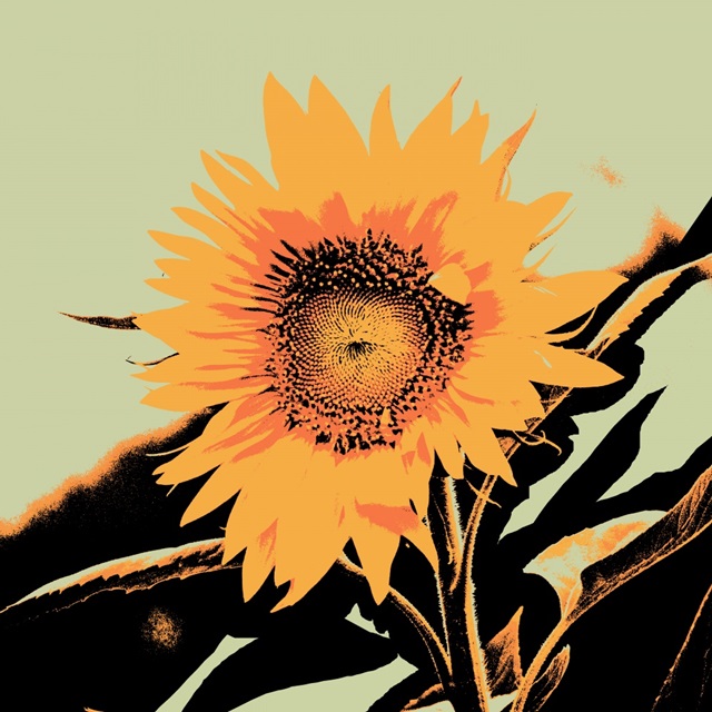 Pop Art Sunflower II