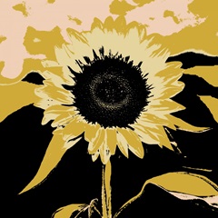 Pop Art Sunflower IV