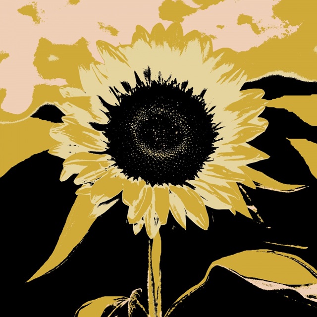 Pop Art Sunflower IV