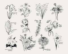 Annual Flowers Collection A