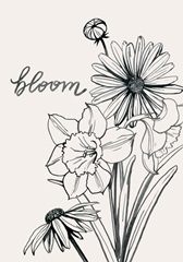 Annual Flowers Collection B