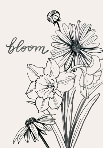 Annual Flowers Collection B