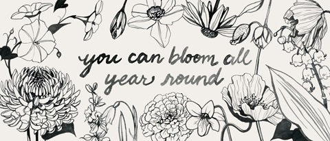 Annual Flowers Collection D