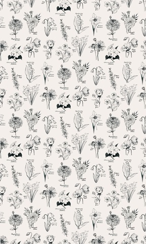 Annual Flowers Collection E