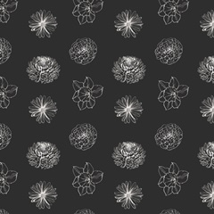 Annual Flowers Collection F