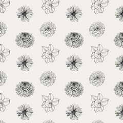 Annual Flowers Collection G