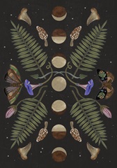 Dark Forest Collection B