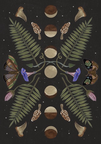 Dark Forest Collection B