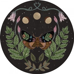 Dark Forest Collection C