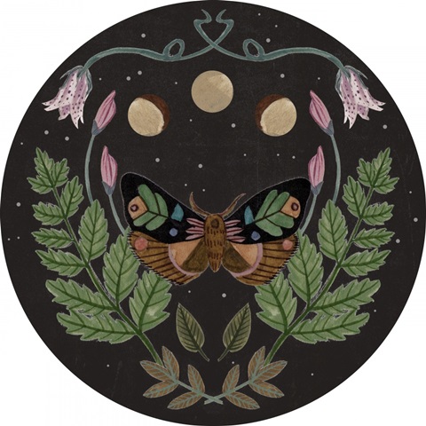 Dark Forest Collection C