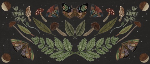 Dark Forest Collection D