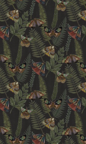 Dark Forest Collection E