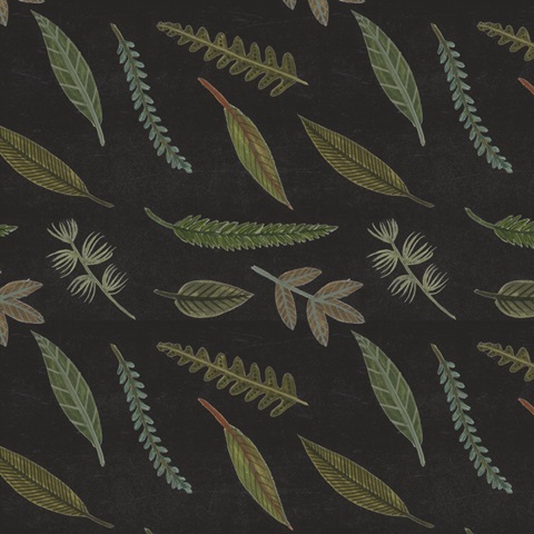 Dark Forest Collection F