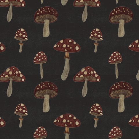 Dark Forest Collection H