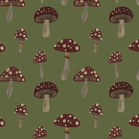 Dark Forest Collection I