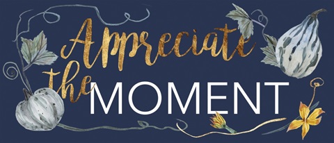 Indigo Harvest Collection D