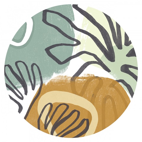 Midcentury Modern Coral Collection C