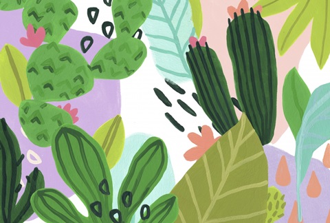 Party Plants Collection A