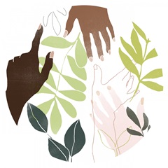 Reach & Rise Collection C