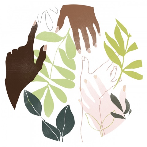 Reach & Rise Collection C