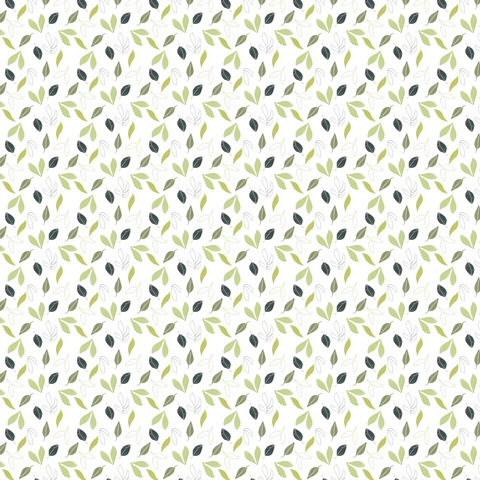 Reach & Rise Collection H