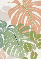 Sherbet Tropical Collection B