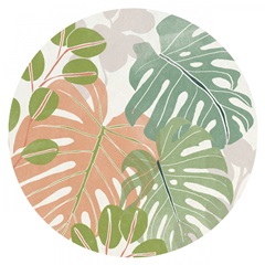 Sherbet Tropical Collection C