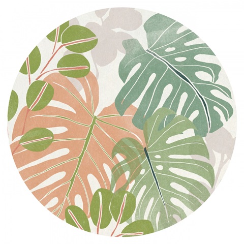 Sherbet Tropical Collection C