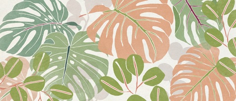 Sherbet Tropical Collection D