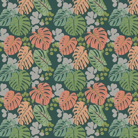 Sherbet Tropical Collection G