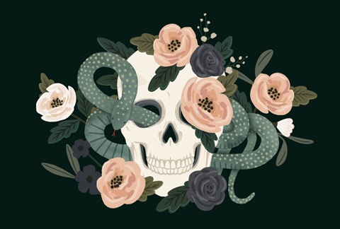 Skull & Snake Collection A