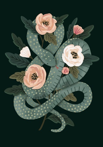 Skull & Snake Collection B