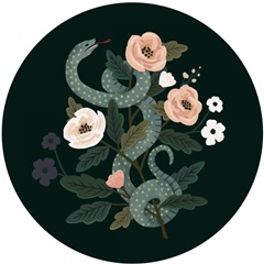 Skull & Snake Collection C