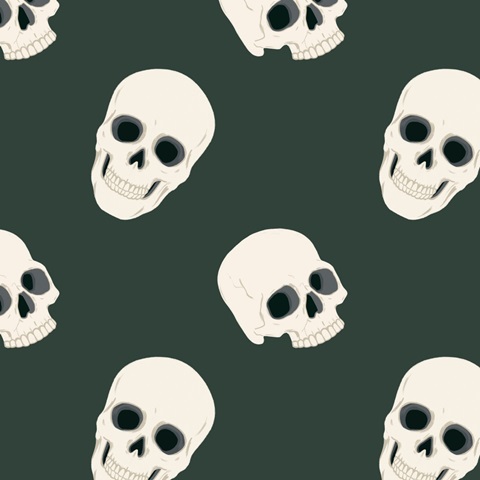 Skull & Snake Collection G