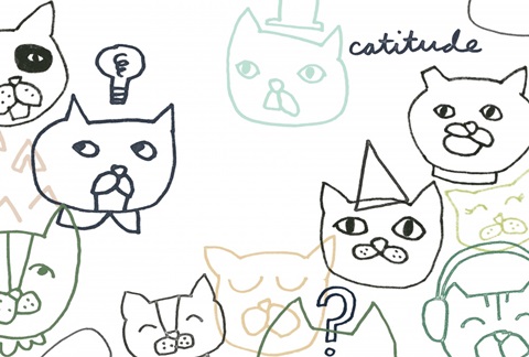 Cattitude Collection A
