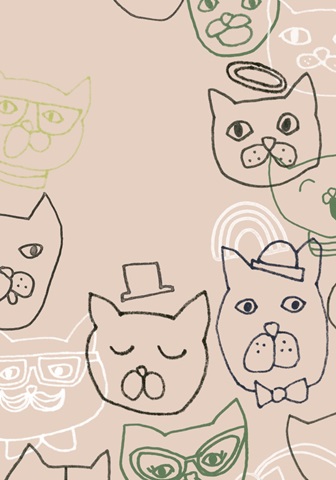 Cattitude Collection B