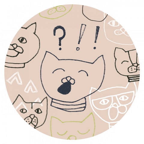 Cattitude Collection C