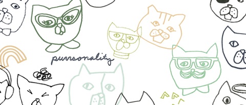 Cattitude Collection D