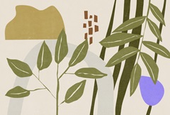 Far Away Place Collection A