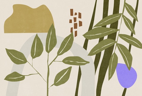 Far Away Place Collection A