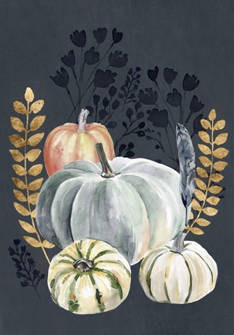 Harvest Blue Pumpkin Collection B