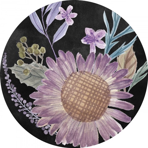 In Darkness Collection C