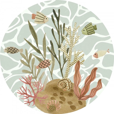 Mermaid at Heart Collection C